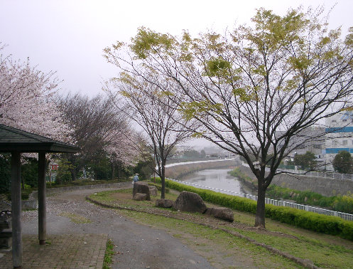 高山橋上流右岸風景の写真です