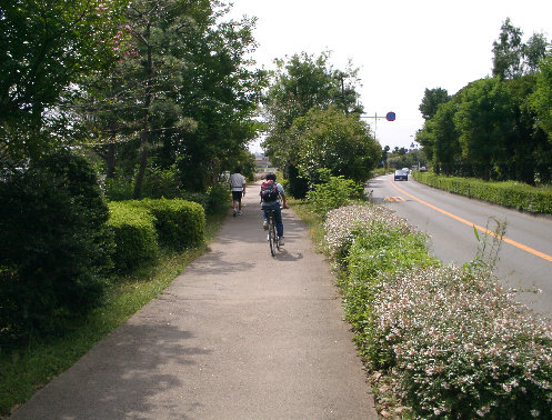 大平橋上流右岸の写真です。