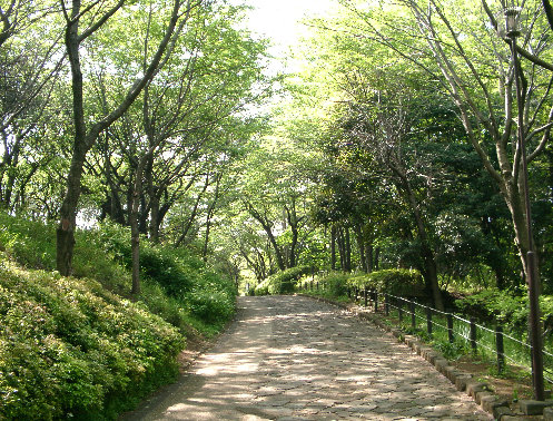 大庭城址公園の写真です。