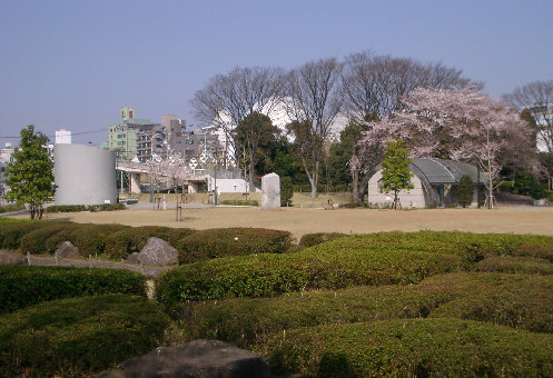 湘南台公園の芝生広場の写真です。